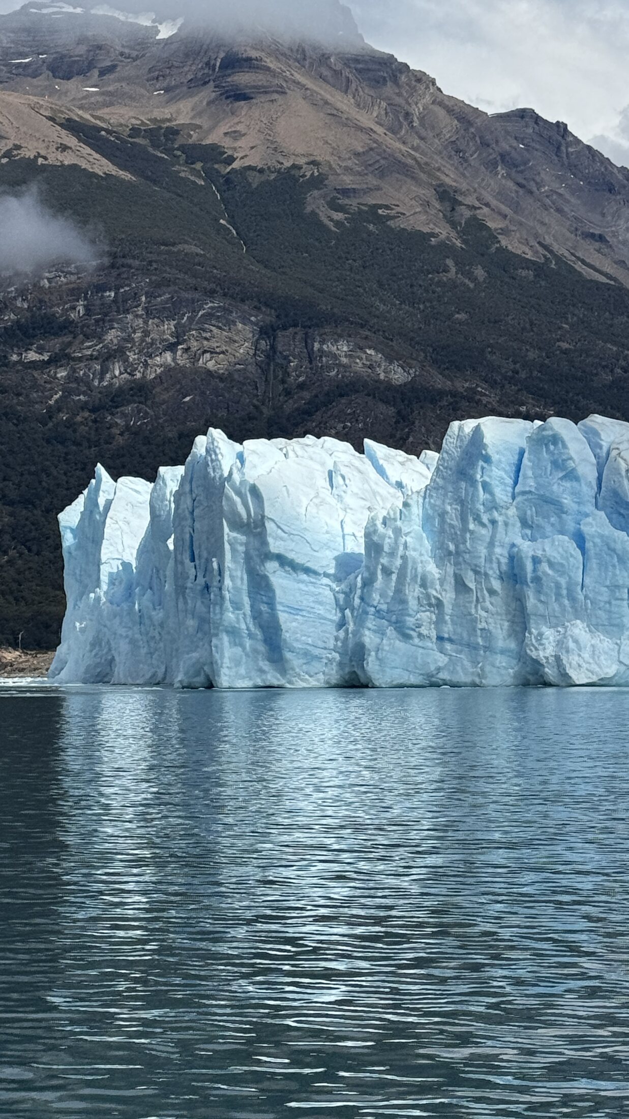 Ice Fields